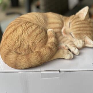 z Slapende kat  rood van H&H collection